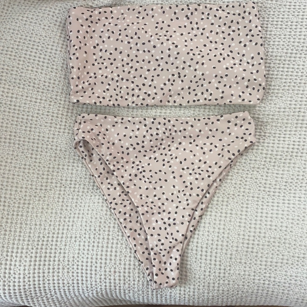 Stone fox swim. Medium